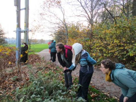 Observation on the permaculture design modular course