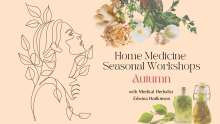 flyer autumn medicine workshop herbal medicines