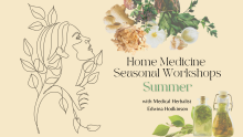 flyer summer medicine workshop herbal medicines