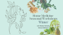 flyer winter medicine workshop herbal medicines